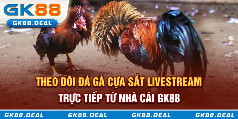 Đá Gà Cựa Sắt - Bộ Môn Thượng Võ Hiện Đại Kết Hợp Tốc Độ Và Chiến Thuật Theo dõi đá gà cựa sắt livestream trực tiếp từ nhà cái GK88